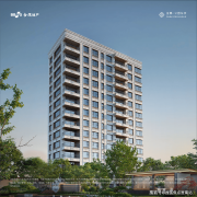 决定了项目并世无双的